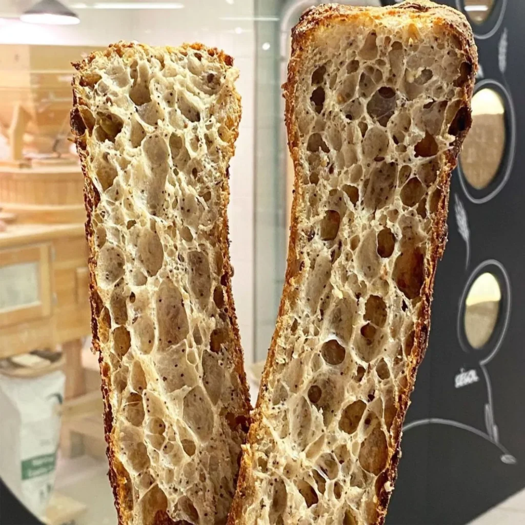 CIABATTA VINYA